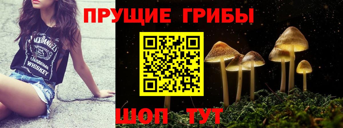 Камень-на-Оби  Псилоцибиновые грибы GOLDEN TEACHER  Вход с VPN 